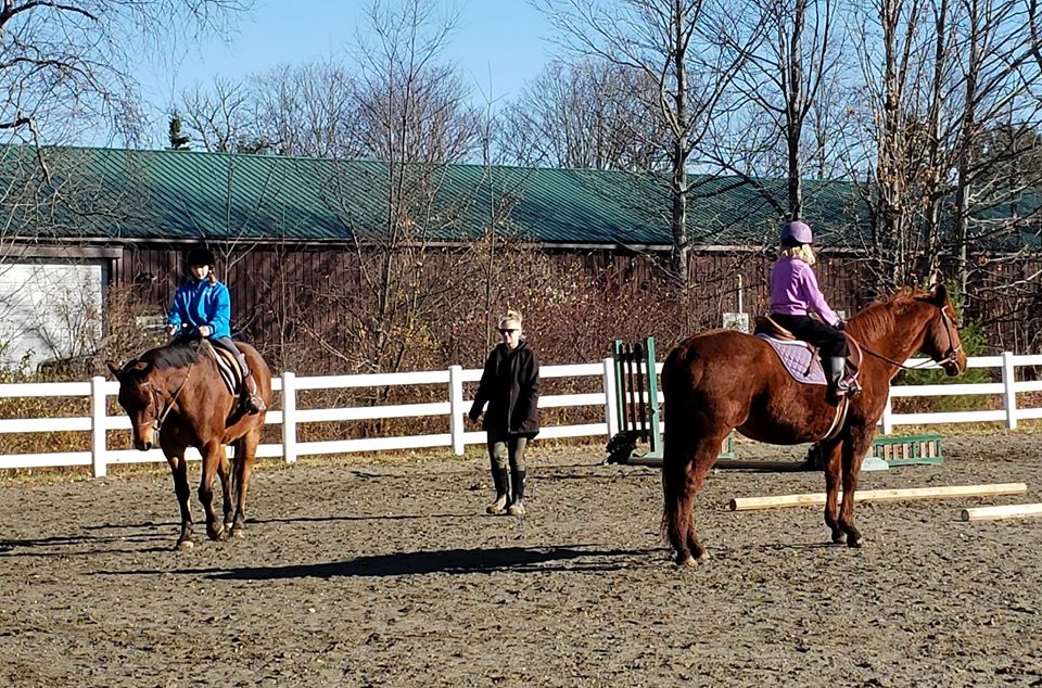 Lesson and Lease horses at Lupine Farm