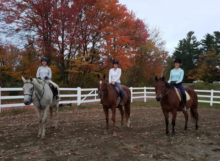 Lessons and Lease horses at Lupine Farm