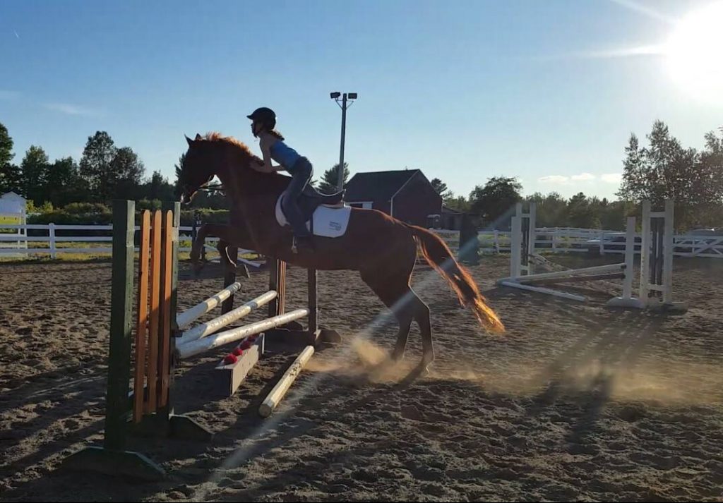 Lessons at Lupine Farm