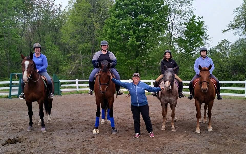 Lessons and boarding at lupine farm