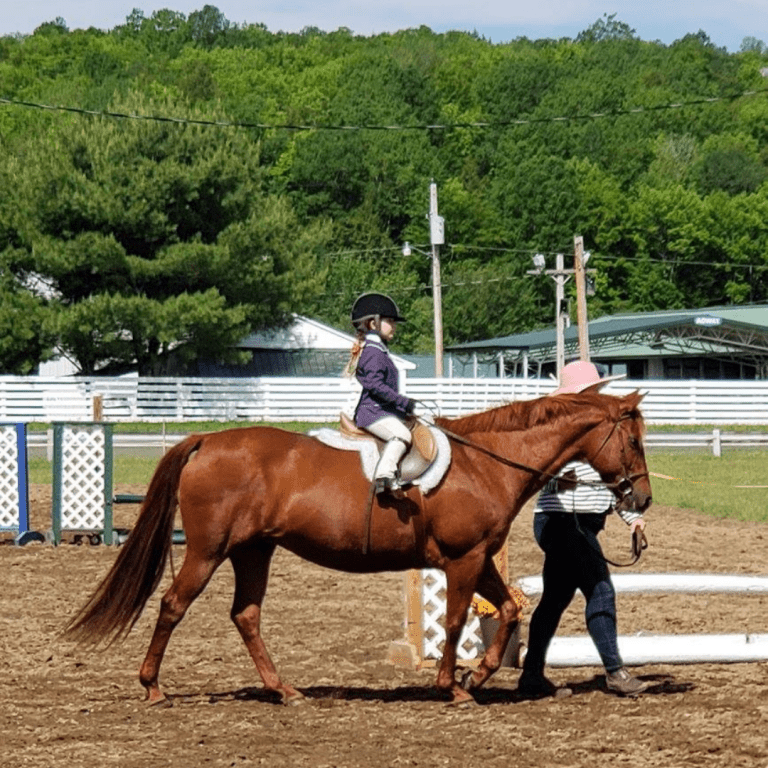 Horse Lessons and Boarding Vassalboro