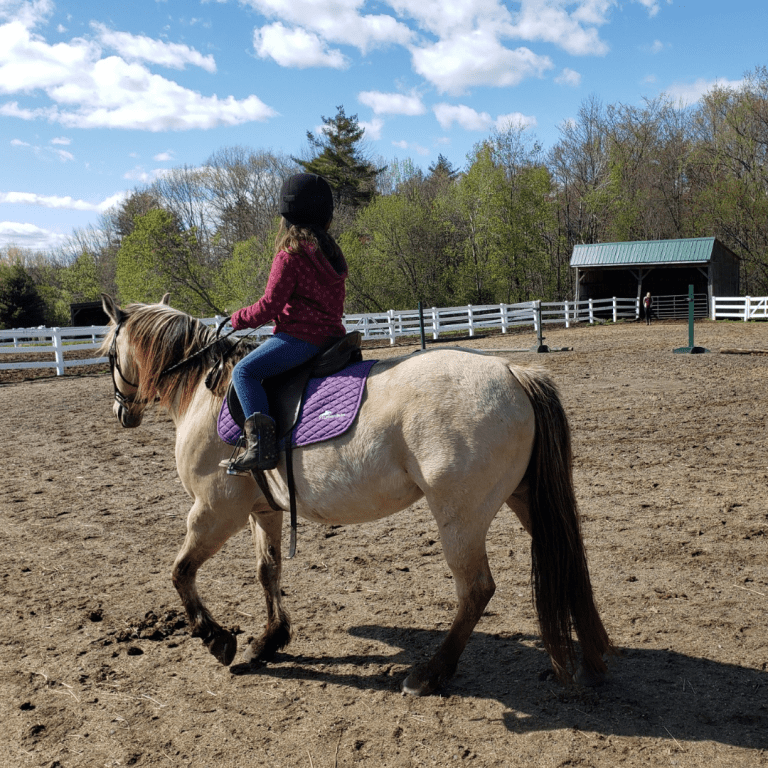 Buckskin Pony Lesson