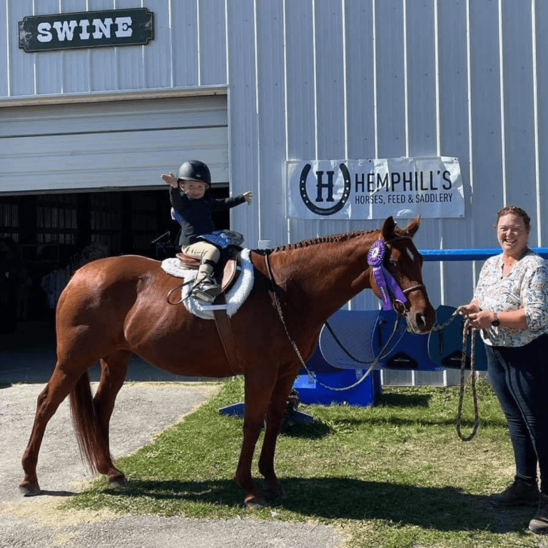 Maine Horse Show Skowhegan