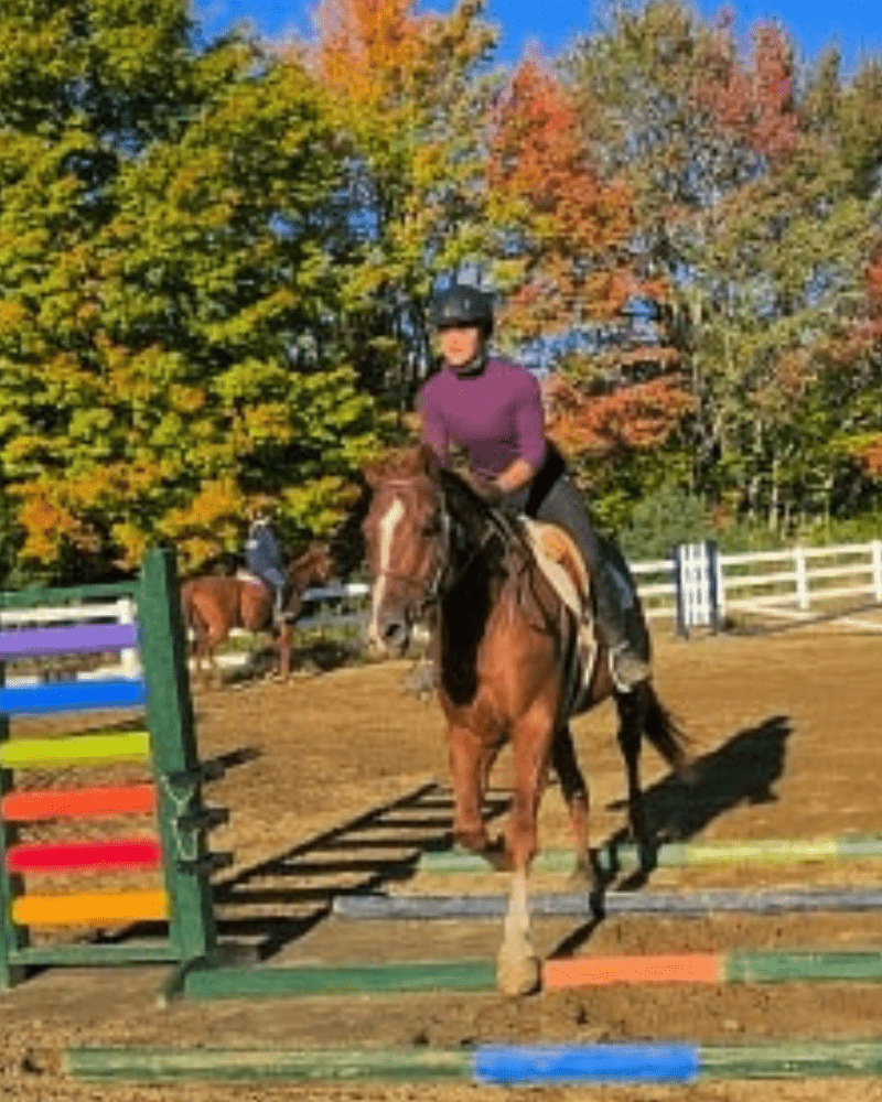 Lesson and Lease Horses at Lupine Farm