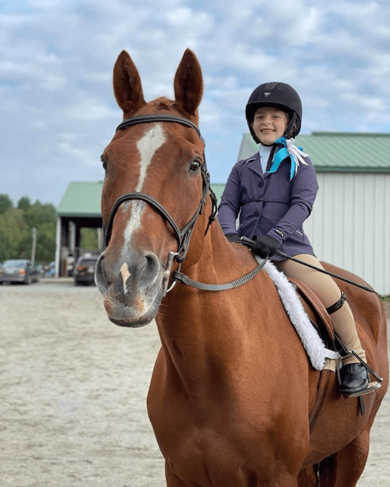 Lesson and Lease Horses at Lupine Farm