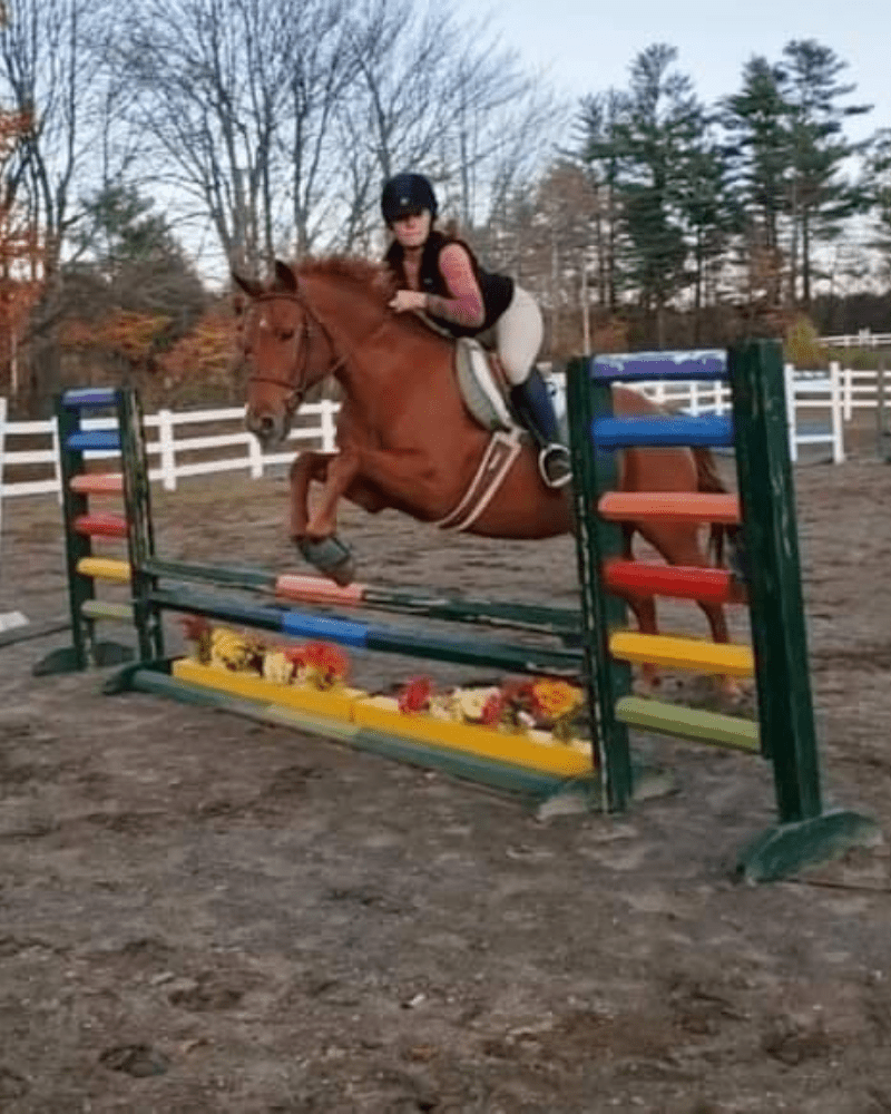 Lesson and Lease Horses at Lupine Farm