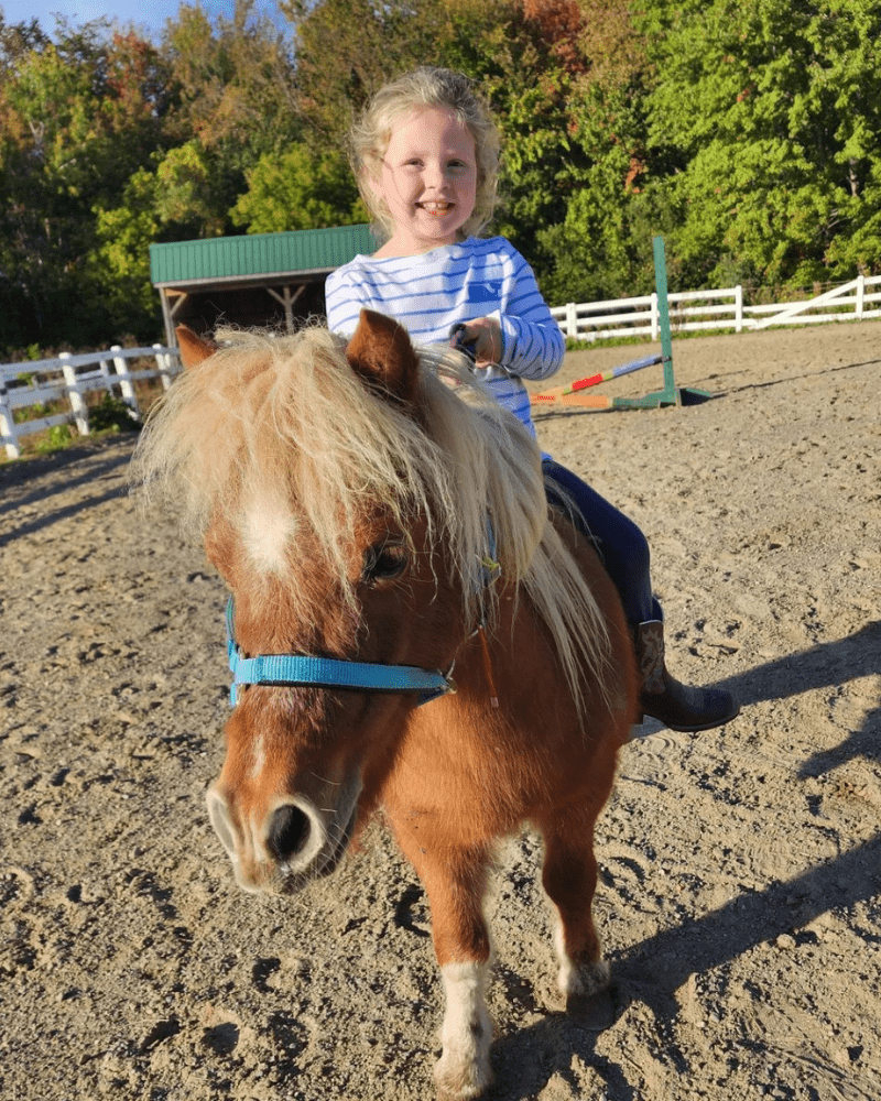 Lesson and Lease Horses at Lupine Farm