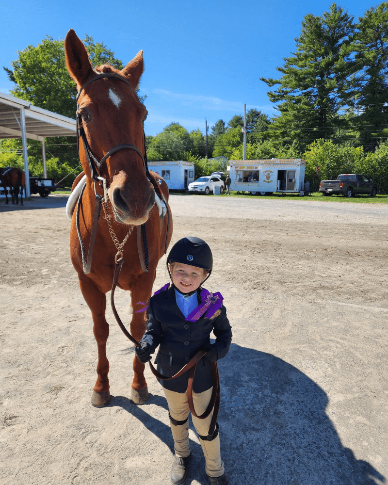 Lesson and Lease Horses at Lupine Farm