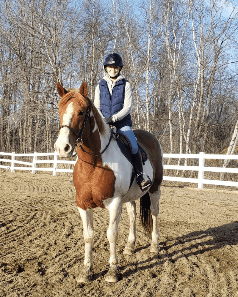 Paint Horse at Lupine Farm