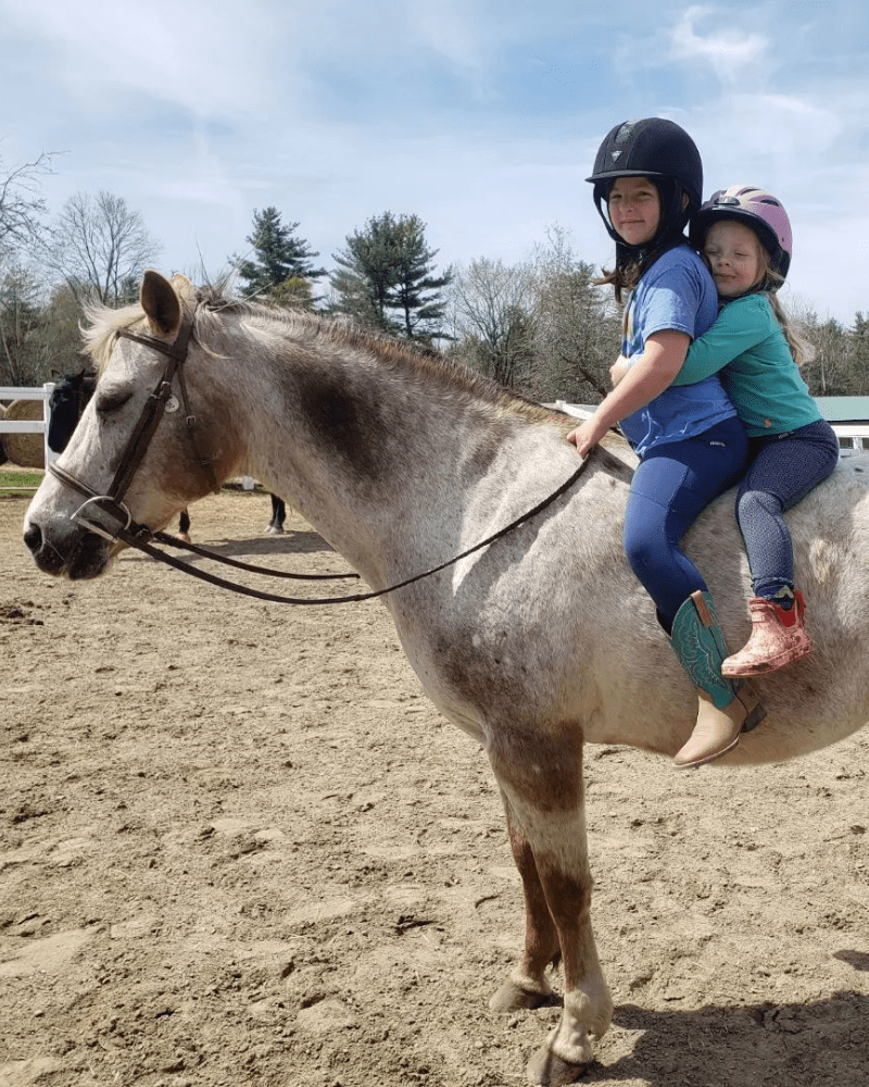 Lesson and Lease Horses at Lupine Farm