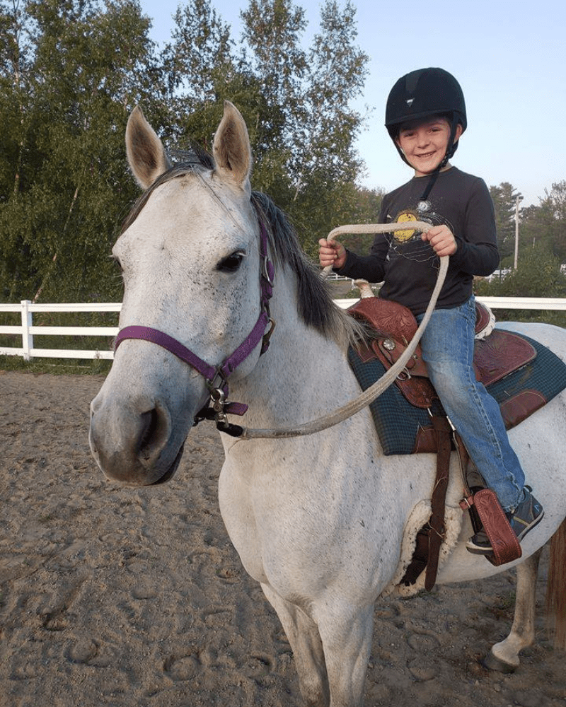 Lesson and Lease Horses at Lupine Farm