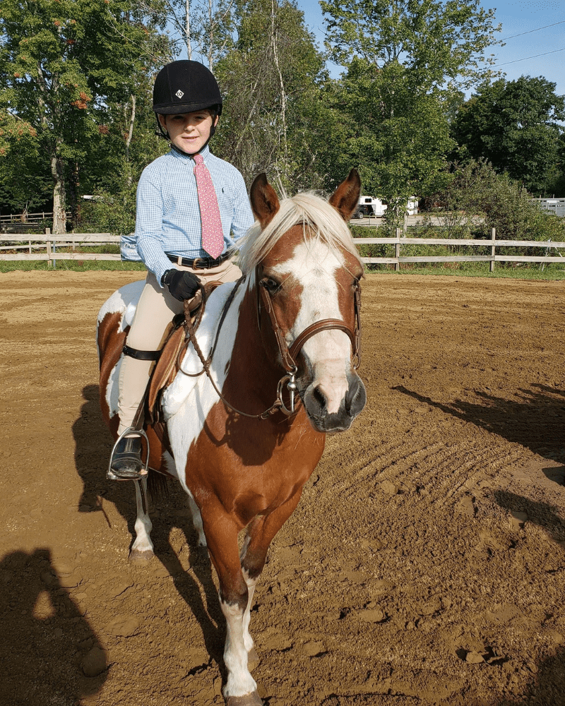 Lesson and Lease Horses at Lupine Farm